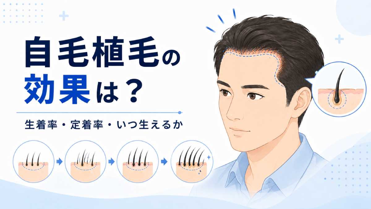 自毛植毛の効果は？生着率・定着率・いつ生えるかを解説